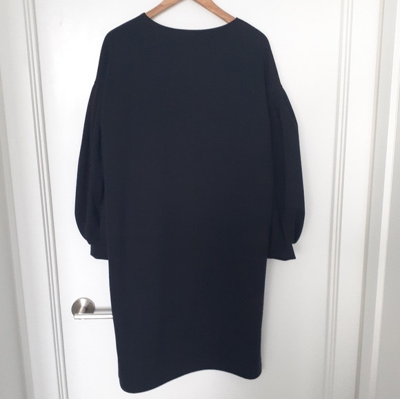 The Cleaning Puff Sleeves Midi Dress - Picture 8 of 8